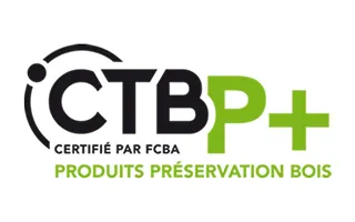 Logo CTB P+